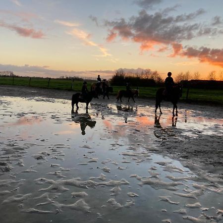 The Horse Farm Bed & Breakfast Garnwerd ภายนอก รูปภาพ
