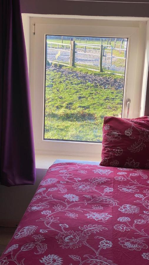 The Horse Farm Bed & Breakfast Garnwerd ภายนอก รูปภาพ