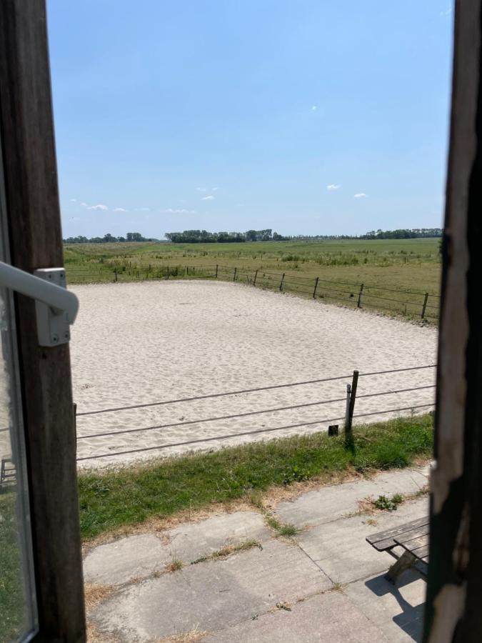 The Horse Farm Bed & Breakfast Garnwerd ภายนอก รูปภาพ