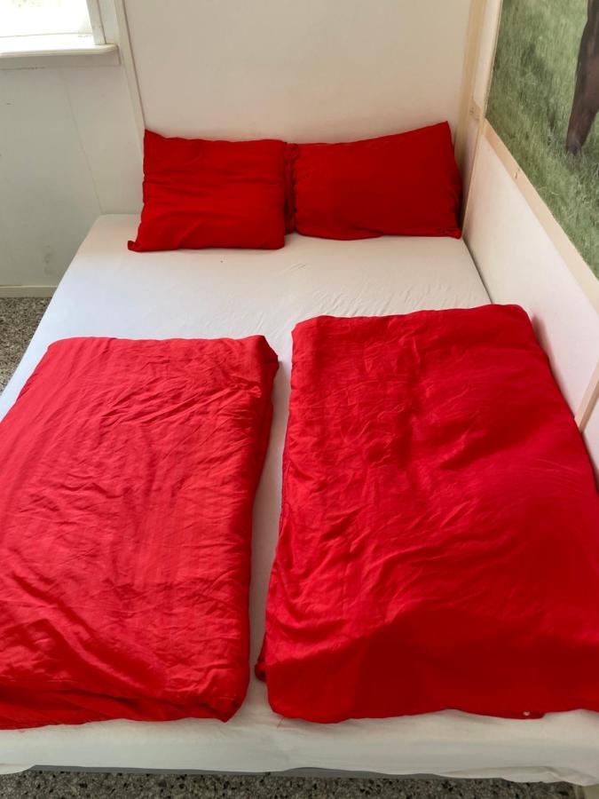 The Horse Farm Bed & Breakfast Garnwerd ภายนอก รูปภาพ